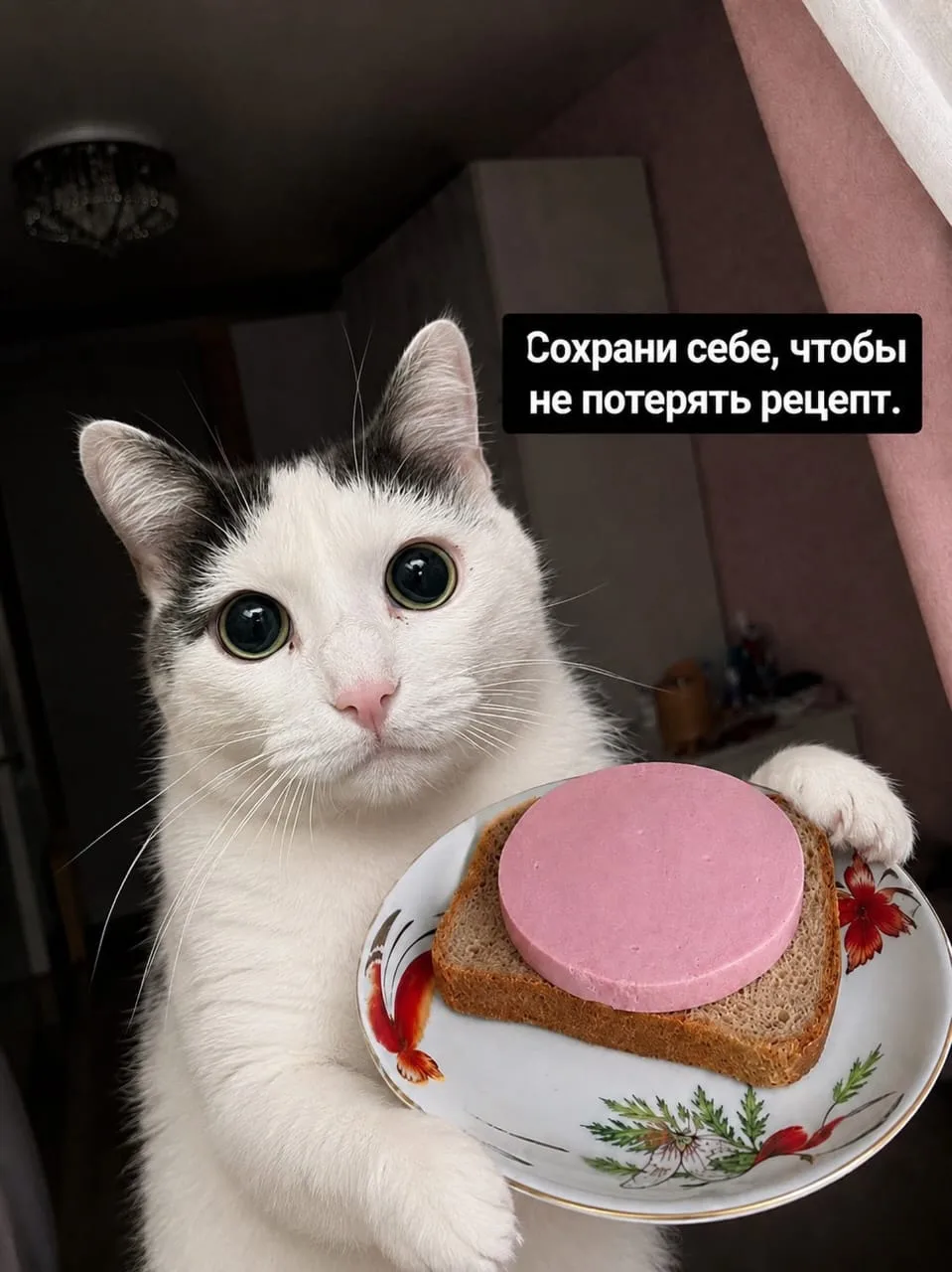 Дамир знает толк в выживании😂сохрани  рецепт чтобы не потерять