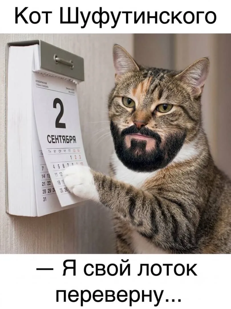 Я свой лоток переверну☺️