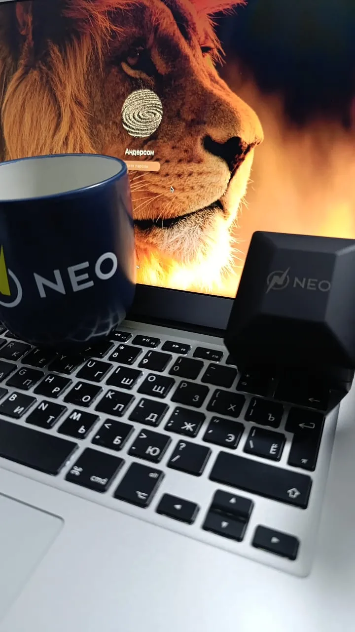 NEO
Новый бренд Мира 🔥🔥🔥