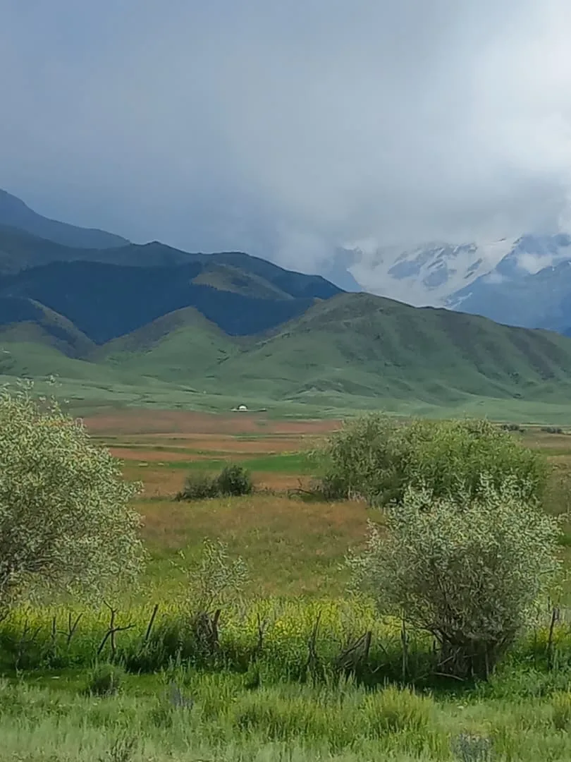 Туулган жерим Асыл турагым