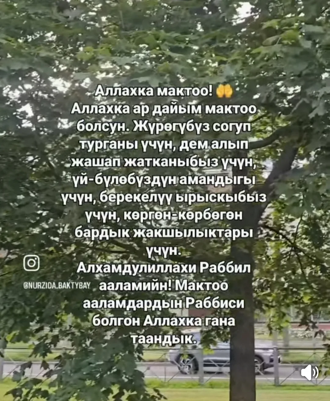 Фото 1