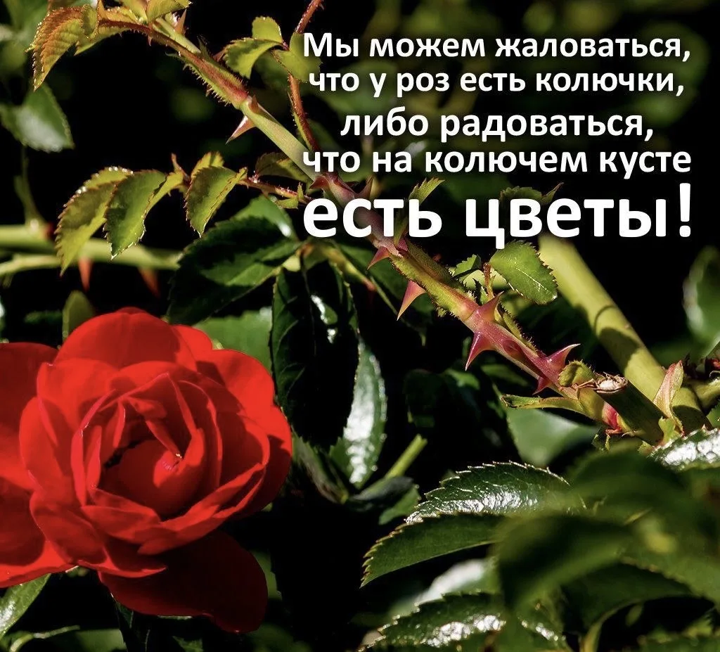 Доброе утро ☀️