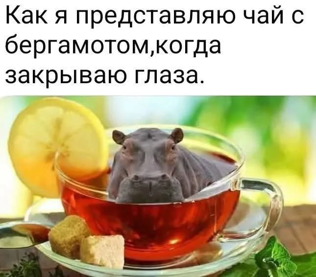 У кого тоже так? ))