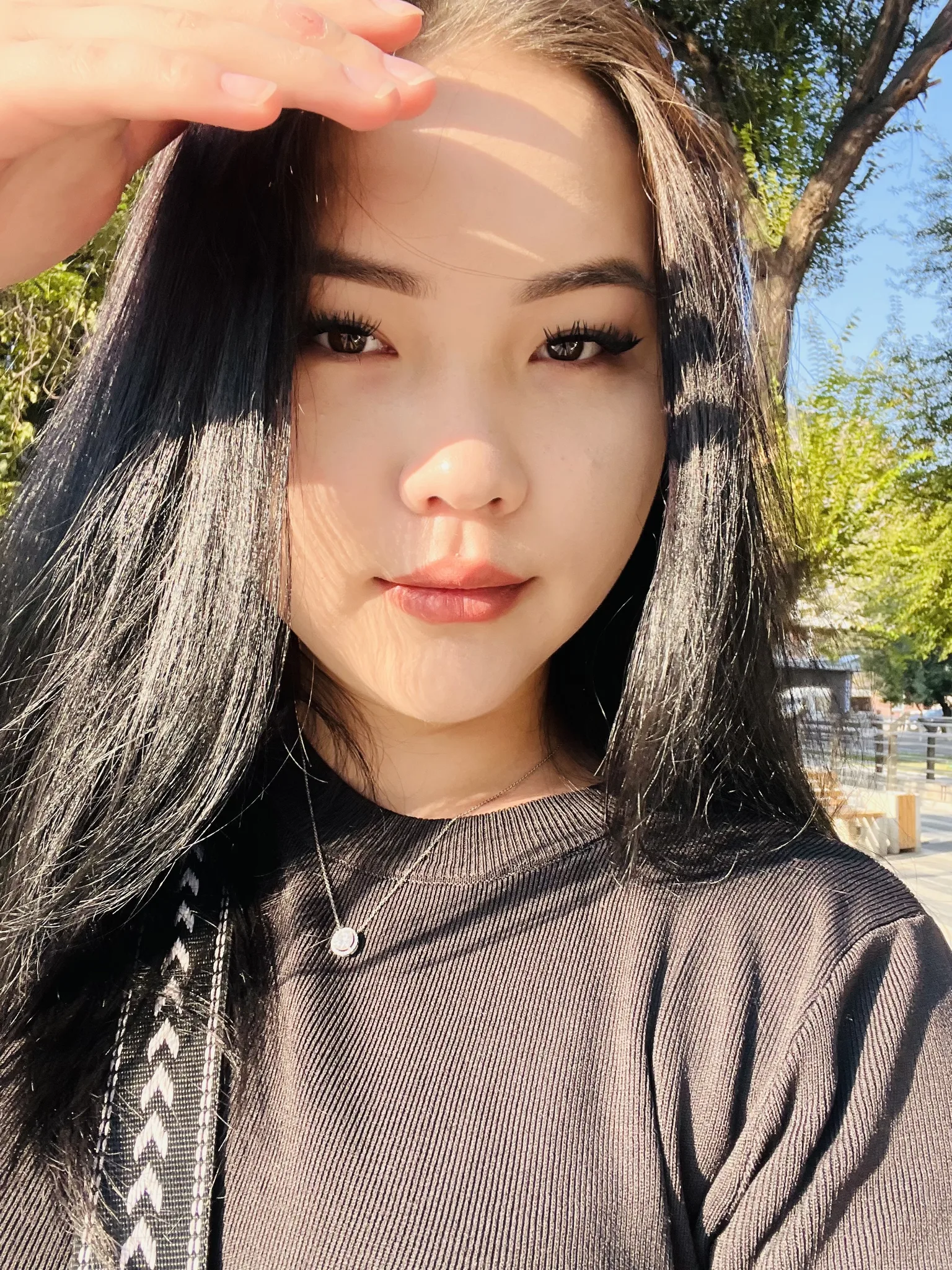 🐈‍⬛🐈